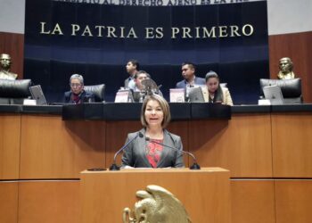 Propone Ejecutivo al Senado a Andrea Marván como comisionada de la Cofece