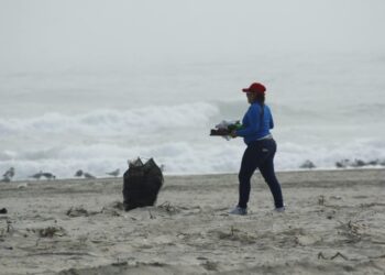 Invita gobierno de Tamaulipas a participar en jornada de limpieza en playa La Pesca