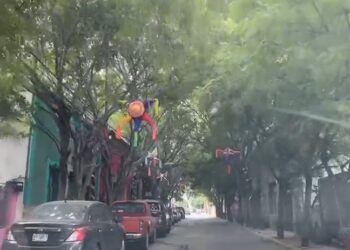 La hermosa calle de Los Tirado, en el Centro de Ciudad Victoria, Tamaulipas.