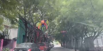 La hermosa calle de Los Tirado, en el Centro de Ciudad Victoria, Tamaulipas.