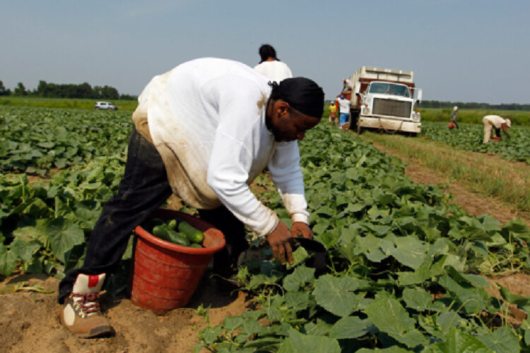 Insisten en reforma migratoria integral para 11.1 millones de personas en EU