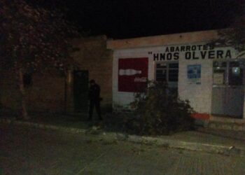 Ebria mujer derriba árbol con su camioneta