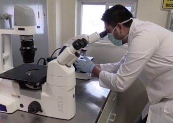 Sube ingreso de docentes de la UAT al Sistema Nacional de Investigadores