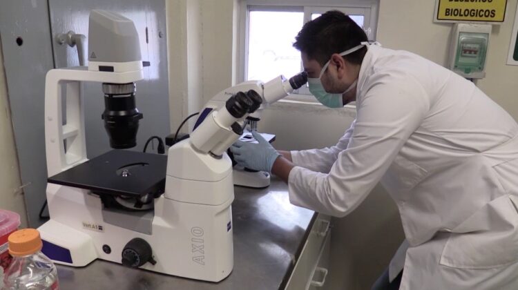 Sube ingreso de docentes de la UAT al Sistema Nacional de Investigadores