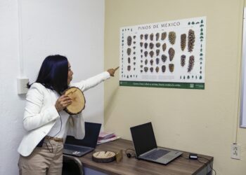 Científicos de la UAT reconstruyen la historia de sequías y cambios climáticos