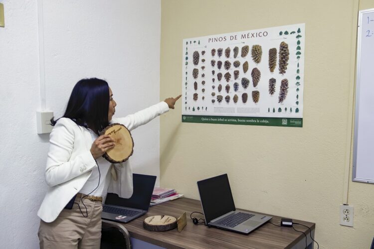 Científicos de la UAT reconstruyen la historia de sequías y cambios climáticos