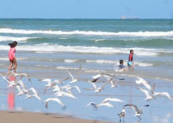 Autoridades de Cd. Madero coordinan estrategias, previo a Semana Santa