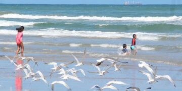 Autoridades de Cd. Madero coordinan estrategias, previo a Semana Santa