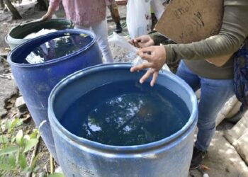 Acecha dengue el sur de Tamaulipas