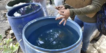 Acecha dengue el sur de Tamaulipas