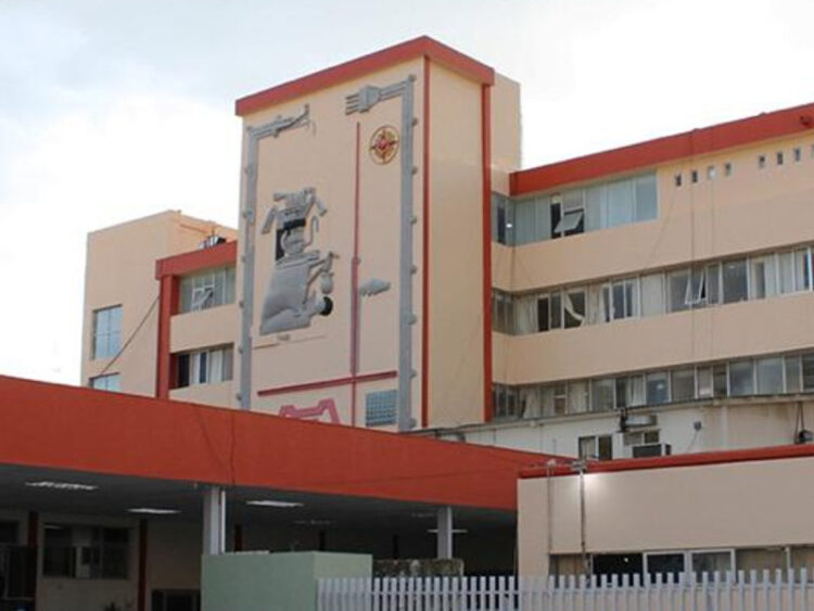 Muere niña de ocho años que fue mordida por murciélago en Oaxaca