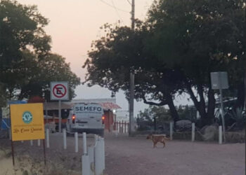 Hallan muerta a dermatóloga María del Carmen Cruz Segovia en El Mirador