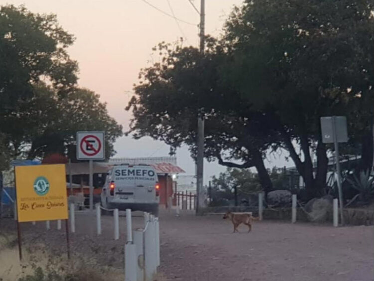 Hallan muerta a dermatóloga María del Carmen Cruz Segovia en El Mirador