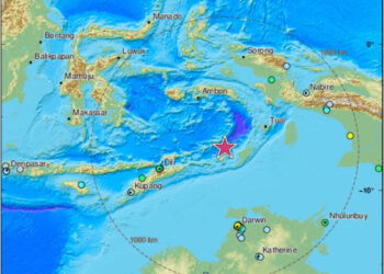 Sacude sismo de 7.9 grados a Indonesia; activan alerta de tsunami