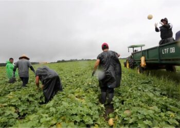 Ofrecerá EU estancia legal y protección a inmigrantes que sufran explotación laboral