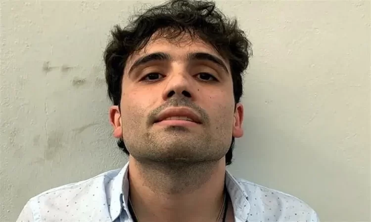 ¿Quién es Ovidio Guzman, el hijo del Chapo?