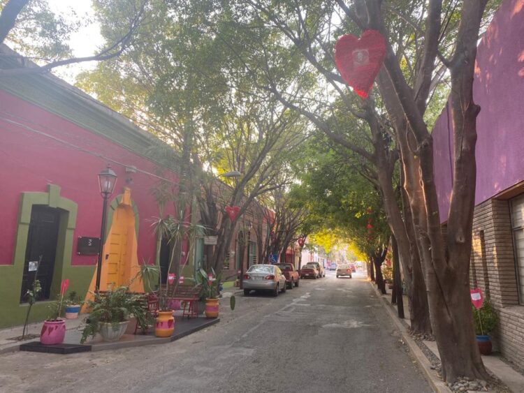 El Callejón del Amor, bello paraje en el centro de Cd. Victoria, Tamaulipas