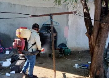Llaman a ciudadanía a colaborar para prevenir el dengue en Tamaulipas
