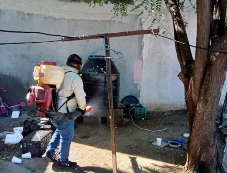 Llaman a ciudadanía a colaborar para prevenir el dengue en Tamaulipas