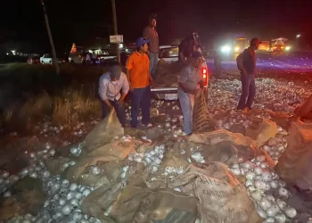 Chocan dos tráiler y hubo rapiña de cebolla