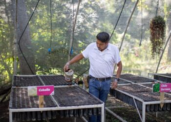 Presenta DIF Tamaulipas los programas asistenciales para el 2023