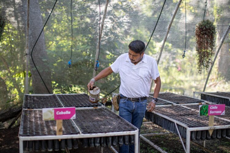 Presenta DIF Tamaulipas los programas asistenciales para el 2023