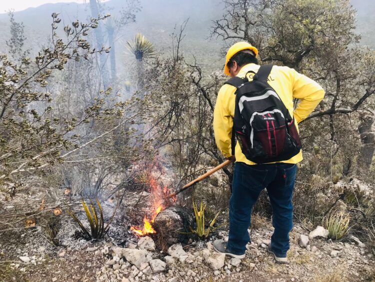 Apoya Protección Civil del Estado en control de incendio forestal en Bustamante