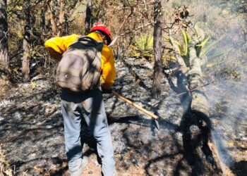 Protección Civil, CONAFOR y residentes trabajan en contención de incendio en Miquihuana