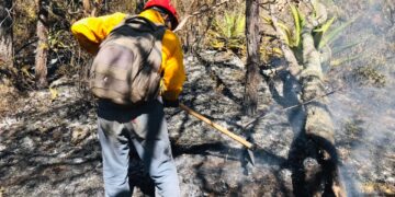 Protección Civil, CONAFOR y residentes trabajan en contención de incendio en Miquihuana