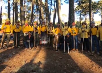 Controlan incendio forestal que consumió 18 hectáreas en Miquihuana