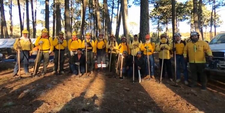 Controlan incendio forestal que consumió 18 hectáreas en Miquihuana