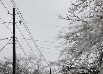 Podrían despedir a administrador de Austin por causa de apagón