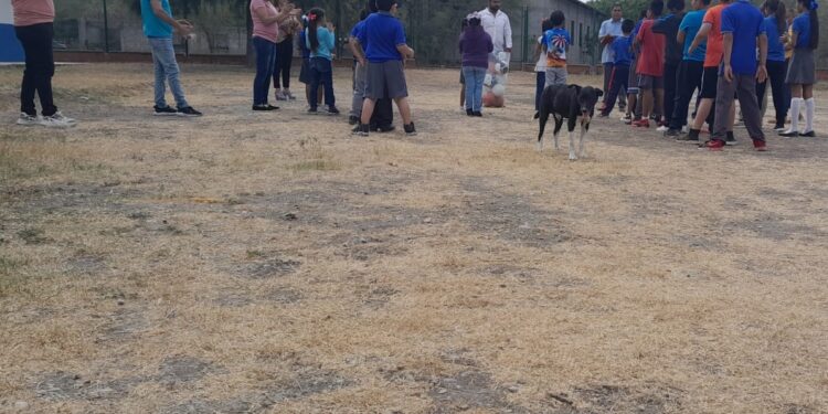Beneficia Lalo Gattás a Primaria de Caballeros con material deportivo y porterías de fútbol