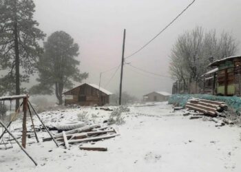 Cae fuerte nevada en distintas localidades de Durango