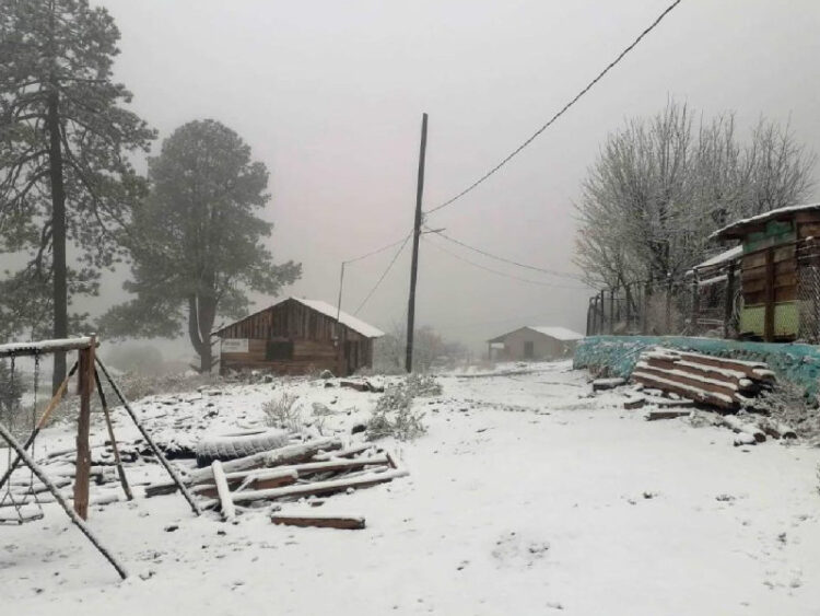 Cae fuerte nevada en distintas localidades de Durango
