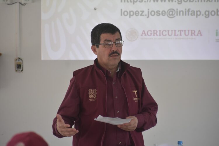 Desplaza Secretaría de Desarrollo Rural a SENASICA en campañas de sanidad vegetal en Tamaulipas