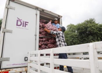 Donan 19 toneladas de productos del campo al DIF Tamaulipas