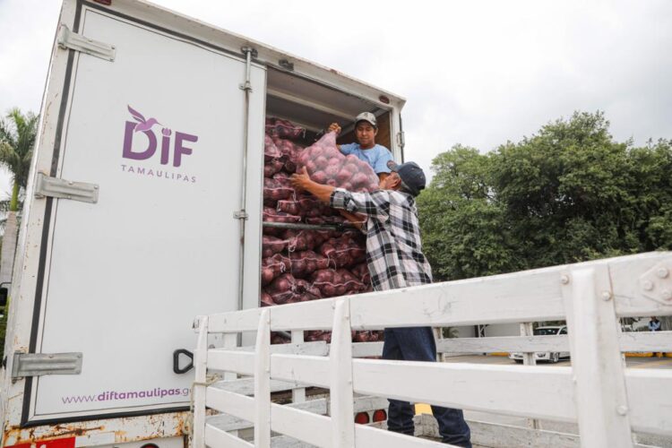 Donan 19 toneladas de productos del campo al DIF Tamaulipas