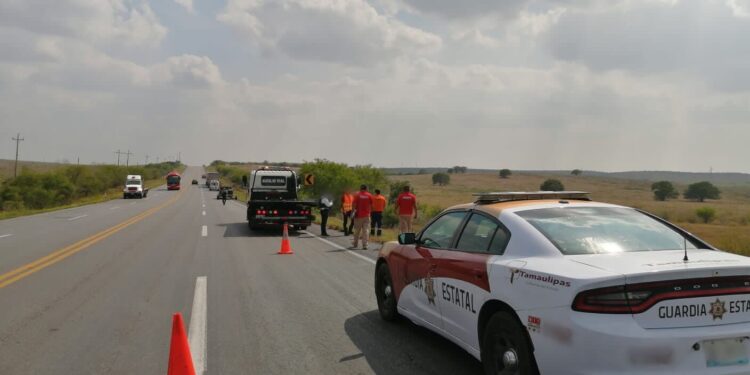 Guardia Estatal atiende choque entre tractocamión y automóvil.