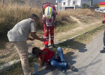 Queda inconsciente luego de ser atacado por abejas