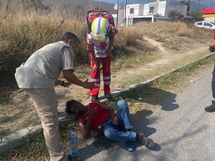 Queda inconsciente luego de ser atacado por abejas