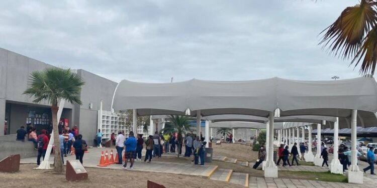 Amplían al 30 de junio programa para regularizar autos “chocolates”