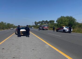 Enjambre ataca a dos personas en el Ejido Laborcitas