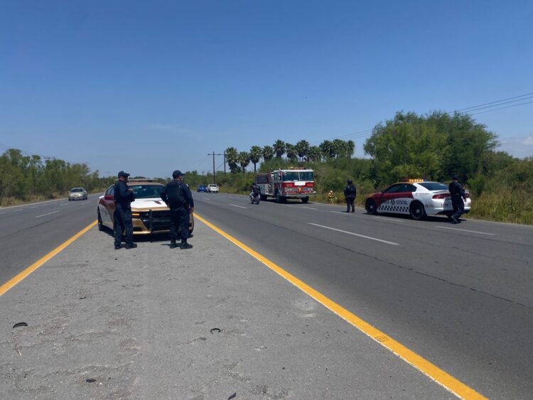 Enjambre ataca a dos personas en el Ejido Laborcitas