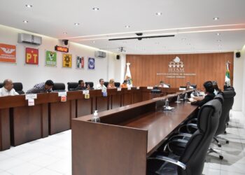 Aprueba IETAM reglas para selección y designación de miembros de consejos distritales y municipales