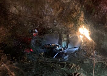 Cae auto al barranco en carretera Victoria-Tula; un muerto y 3 heridos