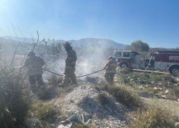 Calor y sequía disparan incendios de predios baldíos y pastizales