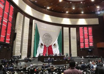Diputados aprueban suspender derechos para cargo público o de elección a violentadores