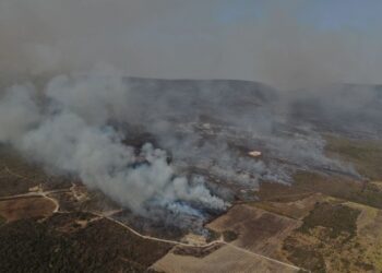 Atiende Protección Civil Estatal incendio forestal en Nuevo Morelos