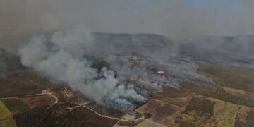Atiende Protección Civil Estatal incendio forestal en Nuevo Morelos